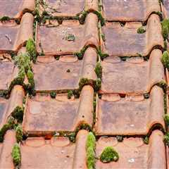 Roof Restoration Expertise for Poughkeepsie Homeowners