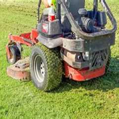 Why Turf Recovery After Heavy Foot Traffic Requires More Than Basic Lawn Care