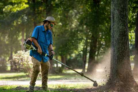 The Ultimate Guide to Tree Trimmers Near Me: Expert Tips and Services (2026)