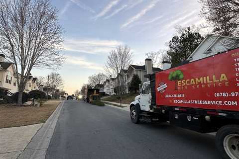 Emergency Tree Removal Atlanta, GA
