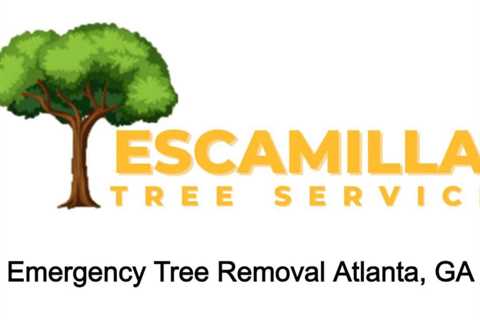 TrueFans | Shows | Emergency Tree Removal Atlanta, GA
