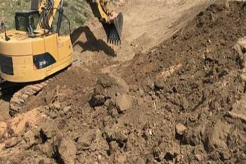 Effective Strategies for Disposing of Excavated Soil and Debris from Tree Excavation
