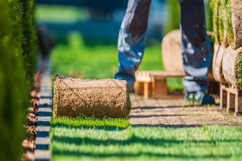 Sustainable Approaches to Turf Management: Reducing Chemical Treatments