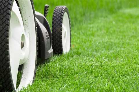 Finding the Right Mowing Height for Healthy Turf Management