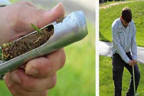 Understanding the Importance of Soil Testing in Turf Management