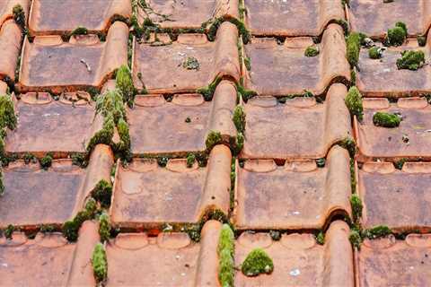 Roof Restoration Expertise for Poughkeepsie Homeowners