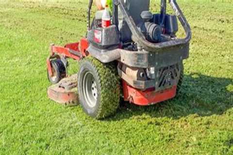Why Turf Recovery After Heavy Foot Traffic Requires More Than Basic Lawn Care
