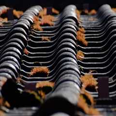 Enhance Your Home with Kitchen and Roof Upgrades