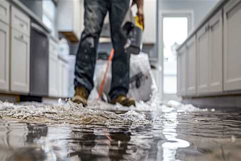 Property Damage Restoration in Seattle and the Supporting Role of Maid Service in Home Care