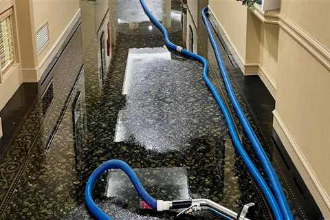 Emergency Water Damage Repair Service in Seattle: Protecting Homes with Residential Elevator..